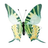 Butterfly "Swallowtail"