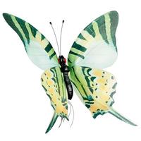 Butterfly "Swallowtail"