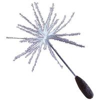 Dandelion seeds