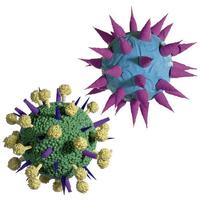 Virus set