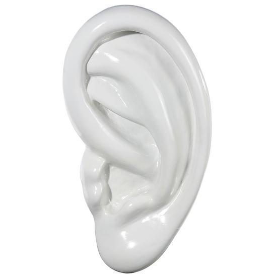 Ear XXL