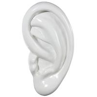 Ear XXL