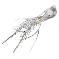 Sitting bird