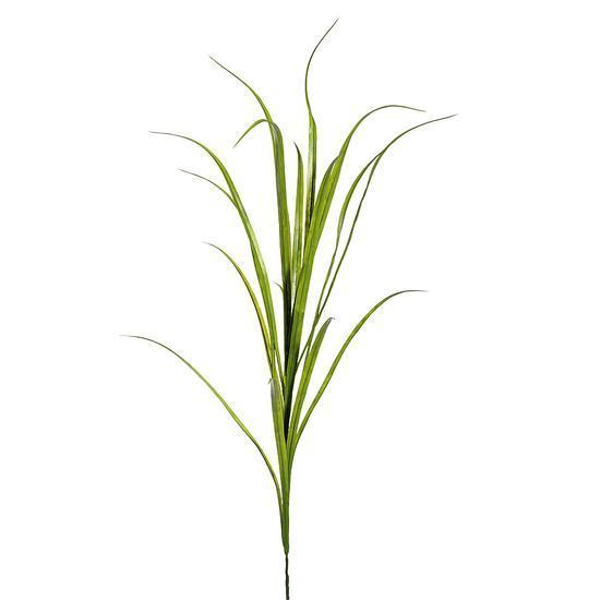 Reed grass stem