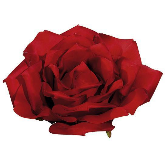 XL Rose blossom