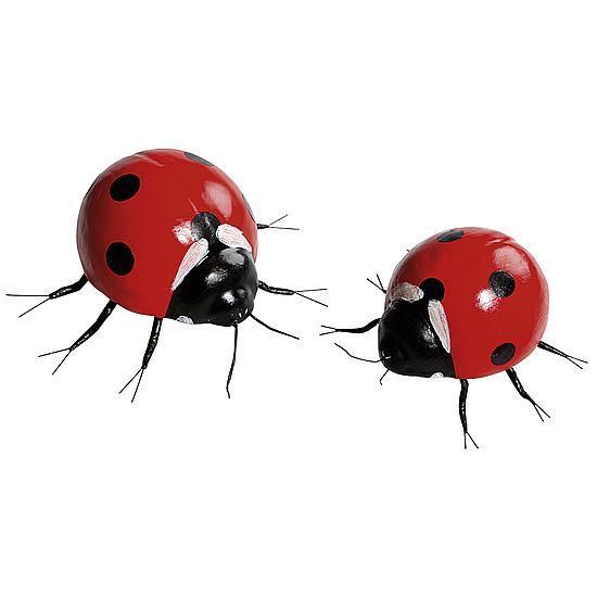 Ladybirds set