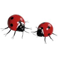 Ladybirds set