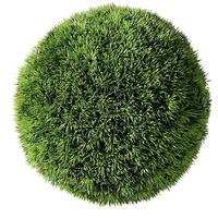 Grass ball