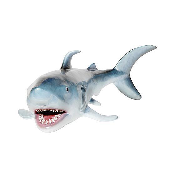 Shark