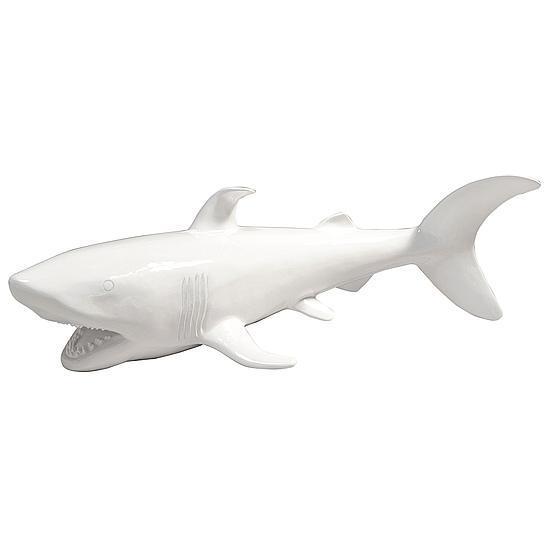 Shark