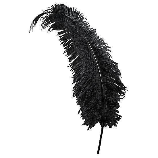 Feather
