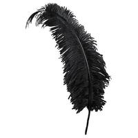 Feather