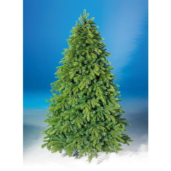 Fir tree