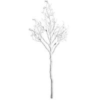 Winter tree