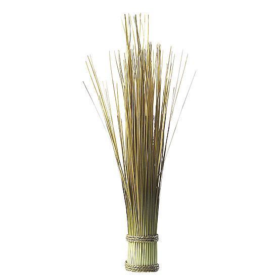 Sea grass