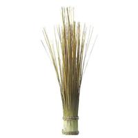 Sea grass