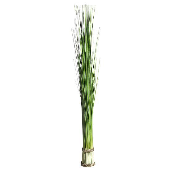 Sea grass