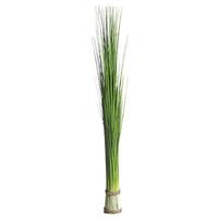 Sea grass