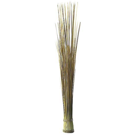 Sea grass