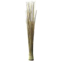 Sea grass