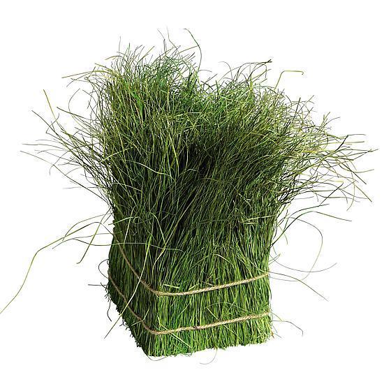 Grass bundle