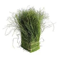 Grass bundle
