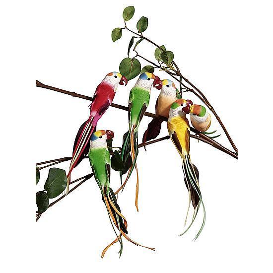 Parrot set