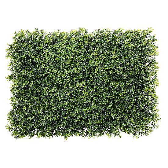 Boxwood panel XXL