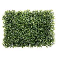 Boxwood panel XXL
