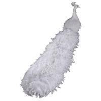 XXL Peacock