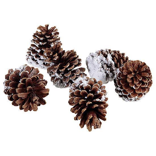 Pinecones