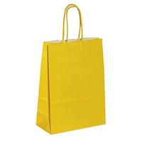 Paper carrying bag "Uni"