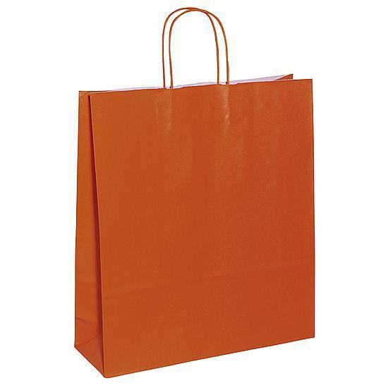 Paper carrying bag "Uni"