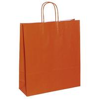 Paper carrying bag "Uni"