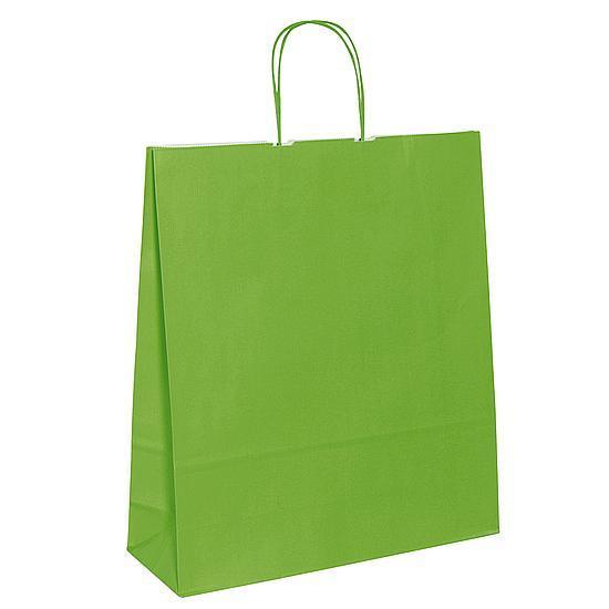 Paper carrying bag "Uni"