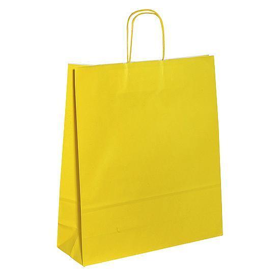 Paper carrying bag "Uni"