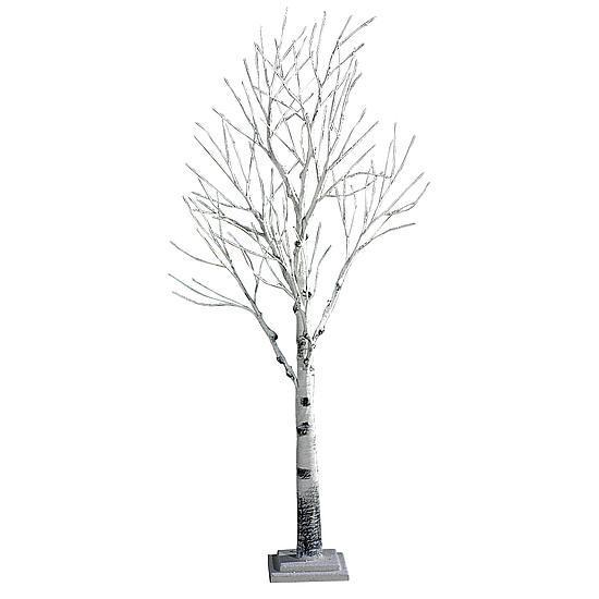 Birch tree