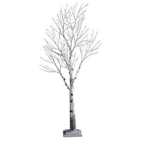 Birch tree