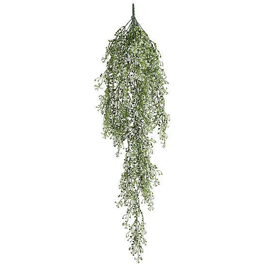 Senecio hanger