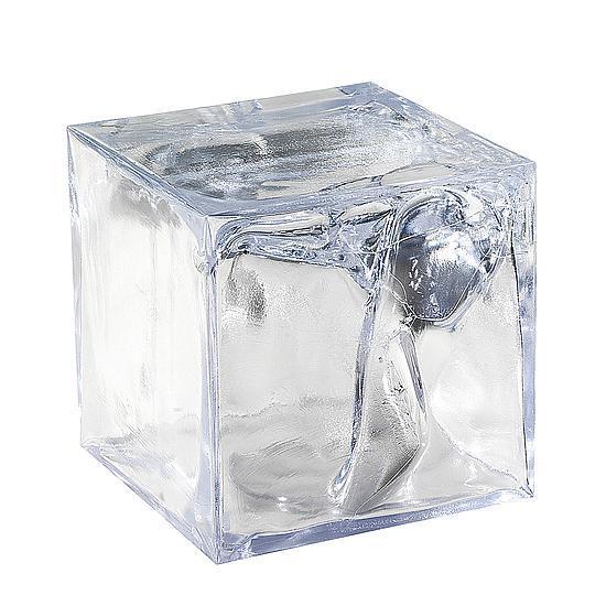 Ice cube
