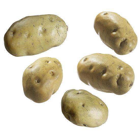Potato