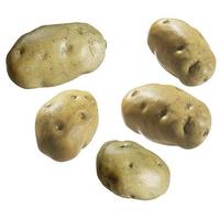 Potato