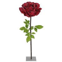 XXL Rose