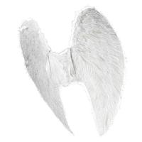 Angel wings