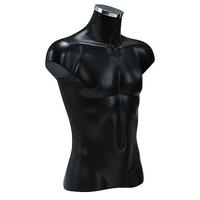 Male torso