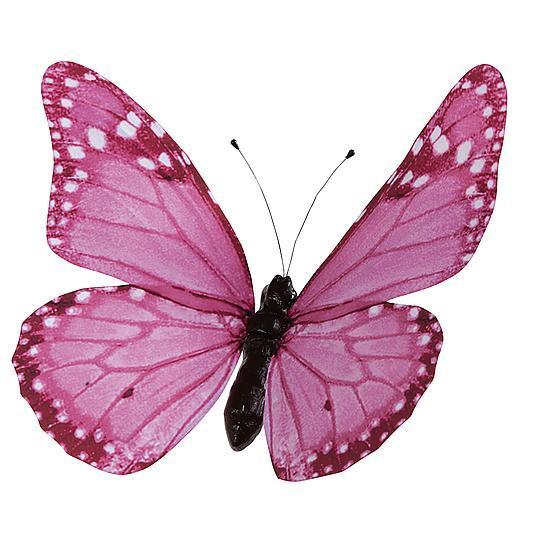 "Butterfly"