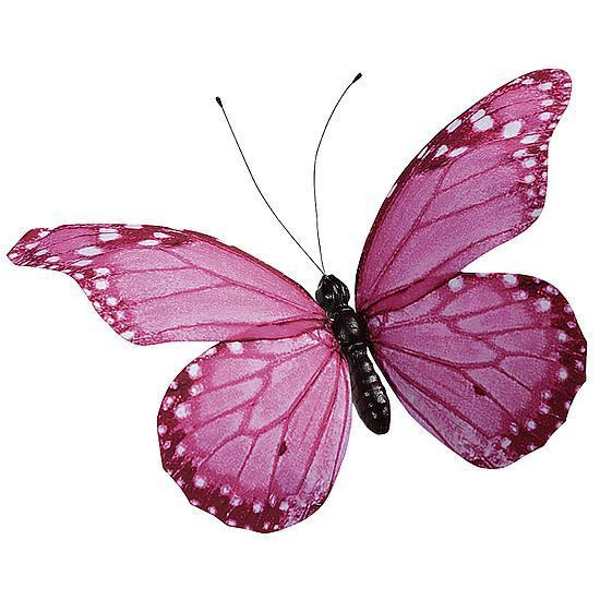 "Butterfly"