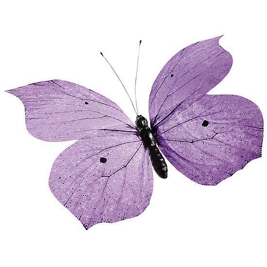 "Butterfly"