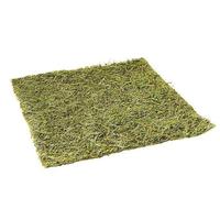 Moss panel