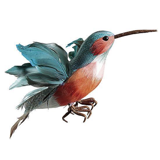 Hummingbird